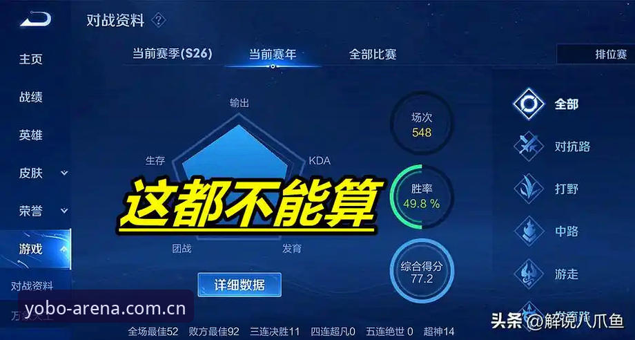 揭秘YOBO界面自定义安装失败背后的真相：别急着甩锅给软件